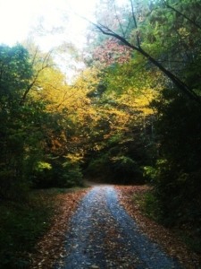 Summer Camp Fall Leaves