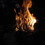 campfire to roast a marshmallow
