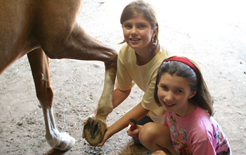 Equestrian Camp Training