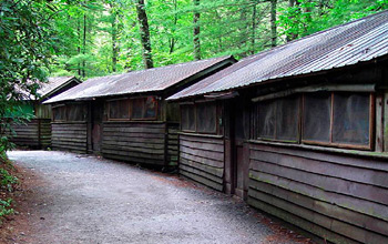 All Girl Camps Cabin Row