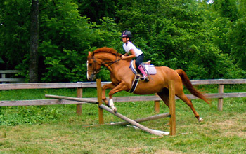 Horse Camps Jumping
