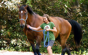 Horseback Riding Camp
