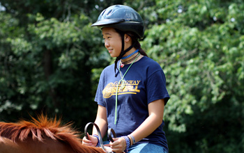 Horseback Riding Lesson
