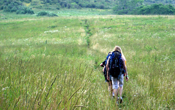 Kids Hiking Through Field