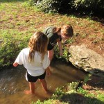 Kids having fun while playing in a creek at camp
