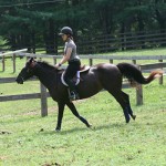 Girls Camp Horseback Riding