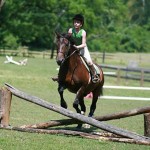 Girl horse camp jumping cross rails