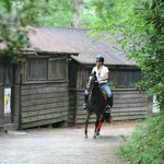 Wake up horse camp cabin girls
