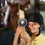Horse Program Video