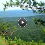 Summer Camp Setting Video