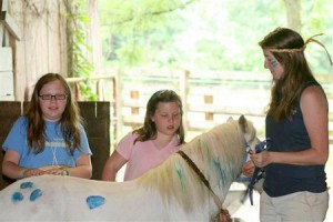 Horse painting party