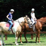 summer camp horse riding lesson