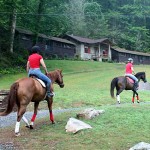 horse wake up campers on the 4th of July