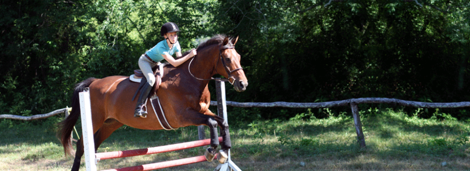 Summer Horseback Riding Camps